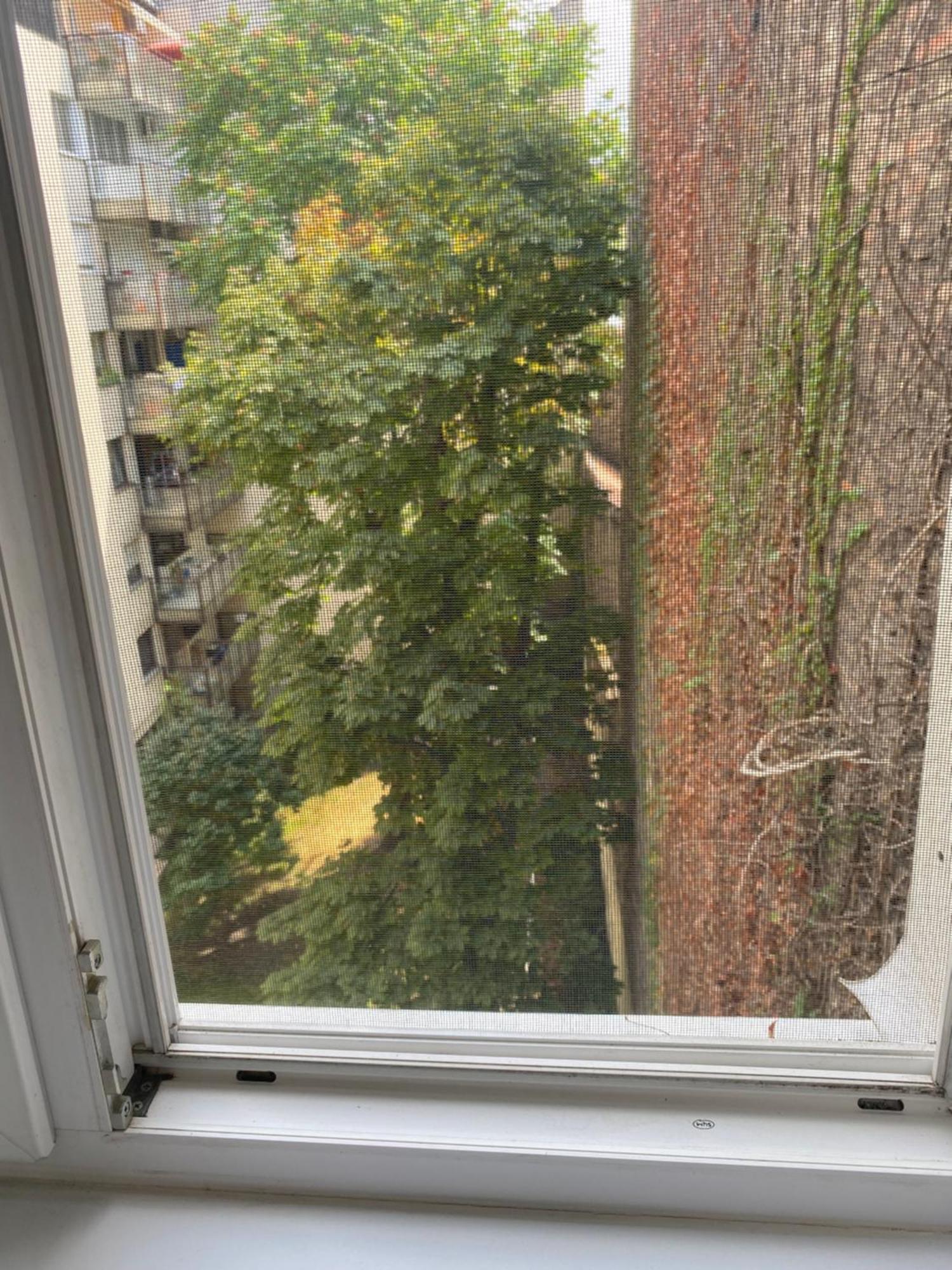 Budapest Oasis One Bedroom For Renting Eksteriør billede